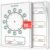 Scribbledo 10 Pack Telling Time Teaching Sheets – 9’x12′ Dry Erase Learning Clocks for Kids Homeschooling Supplies