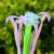 SDREYKUF 10 Pcs Flower Gel Pens Photochromic Silicone Cute Student Exam Writing Pen School Office Supply Black Ink