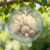 Seashell Wind Spinner, Coastal Natural Grass Stone Summer Beige Metal Kinetic Wind Sculptures Outdoor Ornaments for Garden Lawn Hallways Yard Party Decor 12 Inch