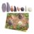 Sensory Prehistoric Teeth Stones and Activity Cards Set
