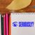 Seriously? Self-Inking Teacher Stamp – 1/2″ x 1-1/2″ Imprint, Everyday Use