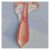 Sheep Uterus & Ovary Anatomical Model, Animal Reproductive Organ Model for Biology Classroom Teaching & Academic Research Display
