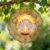 Shell Wind Spinner, Coastal Tropical Pearl Sunset Summer Gold Metal Outdoor Color Changing Wind Sculptures Gifts for Garden Lawn Hallways Yard Party Decor 12 Inch