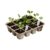 Shikiy 10 Pcs Seed Starter Trays 120 Cells Germination Plant Tray Peat Pots