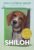 Shiloh (The Shiloh Quartet)