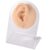 Silicone Tattoo Practice Body Parts Model Set – Left Ear, Right Ear, Nose, Lip, Navel(Skin Ear with Hole-R)