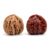Skimsklo Natural Chinese Wenwan Walnuts Pair, Hand-Picked Collectible Baoding Balls for Hand Exercise, Stress Relief Fidget Toy and Meditation