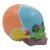 Skull Model Baby Head Skeleton Anatomy Model, Life Size Anatomy Skeleton Educational Baby Anatomy Toy