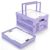 Small Collapsible Plastic Storage Crate with Handle and Basket Lid