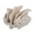 Sphenoid Anatomical Model Teaching Model Supplies, Ethmoid Bone
