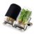 Sprouting Jar Kit, 2-Pack Glass Jars, 33.8 oz with Stainless Steel Mesh Lid