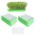 Sprouting Trays for Sprouts 10 Pieces Seedling Sprouter with Drain Holes
