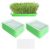 Sprouting Tray Soil-Free Multipurpose Sprouter