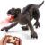 SPRSHY Remote Control Trex Dinosaur for Kids- Spray Lights RC Dino Figurine Walking Roar,T-rex Electric Prehistoric Creatures for 6 7 8 9 10 Years Boys and Girls Christmas Birthday