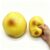 Squishy Stress Ball(Potato)