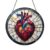 Stained Glass Anatomical Heart Panel, Window Hanging, Colorful Science and Anatomy Home Accent, for Med Students