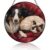 Stained Glass Window Hanging Border Collie and Ragdoll Cat 6.3″ SunCatcher
