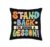 Stand Back I Am Giving A Lesson Classroom School Teacher Throw Pillow