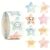 Star Stickers for Over 13 Years Old Kids Reward, Student Planner and School Teacher Supplies G1208