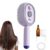 Steam Brush for Hair, 2026 New Electric Spray Air Cushion Massage Comb