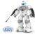 STEMTRON Robots for Kids, Programmable RC Robot with Gesture Sensing