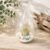 Succulents Box Teardrop Beach Terrarium with White Sand – Live Air Plant Succulent Plant, Indoor & Outdoor (Default Title)