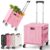 SUNALLY Folding Utility Cart Portable Rolling Crate Handcart Shopping Trolley with Lockable Wheels,Lid, Collapsible Tool Box for Grocery, Travel, Garden, Shop, Office, Luggage, Teacher, Pink