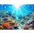 Sunlit Coral Reef with Sea Turtles, Jigsaw Puzzle for Adults, 1000 Pieces