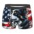 SUNZHI Border Collie American Flag Patriotic Men’S Boxer Briefs