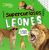 ¡SUPERCURIOSOS! Leones: Todo lo que tienes que saber