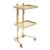 SVJGHQMLR 2 Tier Metal Rolling Cart Salon Trolley Cart Folding Stainless Steel Storage Stand with Wheels Durable Construction Easy Mobility Space Saving Versatile for Tattoo Spa Salons Studios Gold