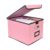 Tcbelosion File Storage Box with Lid, 15.55×12.87×10.43 Inches, Foldable Organizer with Handles & Label Slot, for File Storage, Home, Office, and Closet Organization(Pink)