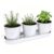 TCBWFY Indoor Herb Garden Planter Set – 3 Pack 4.7″ White Metal Plant Pots with Drainage Holes & Removable Tray – Windowsill Kitchen Counter Balcony Office Garden