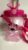 Teddy Bear Kids Water Bottle with Straw, Pink, 1005 ml