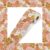 Tenceur 65.6 Feet Floral Bulletin Board Borders 9 Styles,Retro Flower