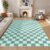 Terrug Green and White Checkered Rug for Living Room,6×9 Area Rugs Washable with Non Slip for Bedroom,Soft Low Pile Stain Resistance Retro Carpet for Dorm Kids Room