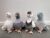 Tezituor Stuffed Animal Plush Toys Set Gifts for Kids Boys Girls Christmas Birthday(Pigeon Stuffed Animal Set, 4 Pcs)