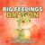 The Big Feelings Dragon: A Calm-Down Story About Anger, Worry, and Big Emotions and the Dragon Breaths That Help Kids Feel Better (Caregiver Data Series)