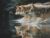 Three Wolves Running in Water Realistic Wildlife Art Painting Wooden Jigsaw Puzzle 1000 Pieces for Adults Forest River Reflection Wild Animals Nature Scenery Family Game Night Gift Animal Lovers