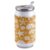 T&H XHome Marine Life 10oz Stainless Steel Tumbler with Lid & Straw-Double Wall Vacuum Insulated Travel Mug Coastal Starfish Conch Shell Plaid Orange Water Bottle Coffee Beverage Drinks Cup