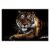 Tiger Scratch Art for Teens & Adults – Rainbow Painting Sketch Pads with 3