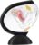 Transparent Detachable Uterus Anatomical Model, Female Pelvic Reproductive Organ Structure Teaching Aid for Biology & Medical Classroom Learning