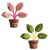 Tree Shaped Bag Clips 2 Pack Magnetic Food Bag Chip Clip Fridge Magnets Fun and Functional Storage Accessories for Chips Food Home Decor