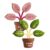 Tree Shaped Bag Clips Magnetic Chip Clips – for Snack Bags Fridge Decor Food Storage Magnetic Sealing Clip for Organization (Potted Plant) (2Pcs +Green)