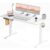 Trygoal 55″ Electric Standing Desk, Height Adjustable Sit Stand Desk, White
