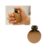 Turtle Clicker Fidget Toy, Pop Out Shell Pocket Gadget with Satisfying Click Action for Stress Relief