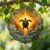 Turtle Wind Spinner, Tropical Nature Sunset Ocean Summer Orange Metal 3D Outdoor Wind Sculptures Ornaments Gifts for Garden Porch Lawn Patio Party Decor 12 Inch