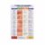 Types of Rashes And What to Do Poster Canvas Painting Wall Art 08x12inch(20x30cm) Unframe-style
