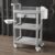UBNMIUBV Rolling Utility Cart, 3-Tier Serving Cart with Drawers, Utility Storage Trolley with Handles and Wheels,Salon, Spa, Office, Lab, Bathroom,Grey,Grey