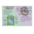 UCGAOIOQ Biology Poster Animal Plant Cell Science Art Educational Canvas Print for Classroom Decor Office Wall-Art Bedroom Homeschool Learning Tool(Unframed,08x12inch(20x30cm))